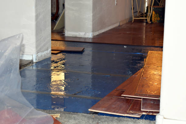 Professional Flood Damage Restoration technician working in Santa Monica, CA